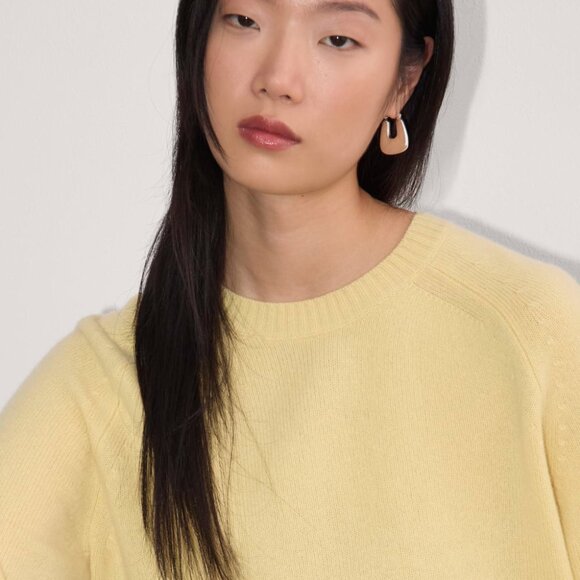 Everlane Boxy Crew in Cashmere -  Parsnip (Pale Yellow) - Size Medium - NWT - Picture 3 of 6